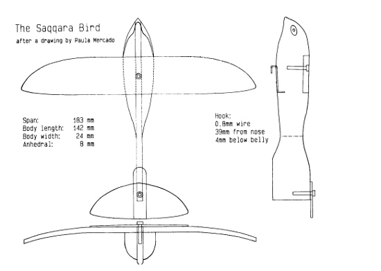 The Saqqara Bird plan